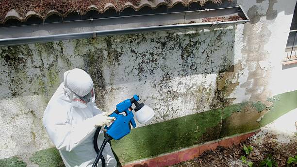 Top rated local Mold Inspection And Testing specialists in Cross Fork, PA